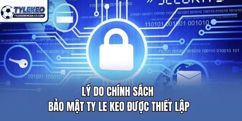 Lý do chính sách bảo mật ty le keo được thiết lập